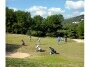 Greens van de Ibiza golf club