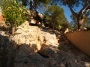 Ibiza Yoga rock garden with Lemon tree.