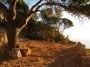 Ibiza Yoga vacation terrace with beach sand.