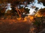 Yoga Ibiza terrace with rock garden.