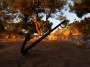 Yoga Ibiza terrace with anchor.