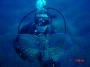 mundo azul sea interaction, scuba diving Spain