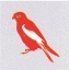 Leonoras falcon Ibiza walk routes symbol